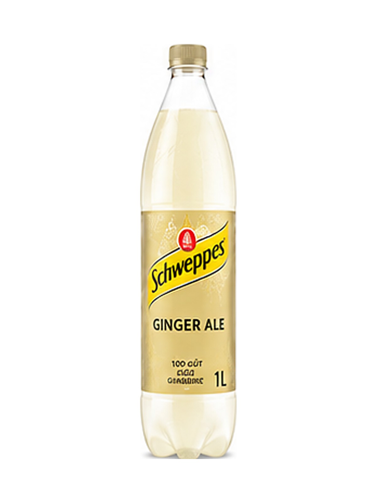 Schweppes Ginger Ale — Bouteille plastique 1 L